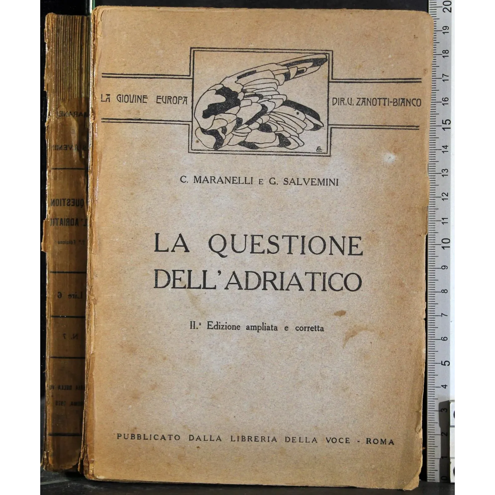 La questione dell'Adriatico