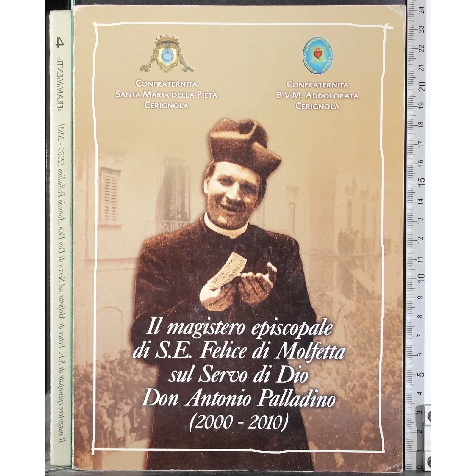 Magistero Felice di Molfetta su Don Antonio Palladino