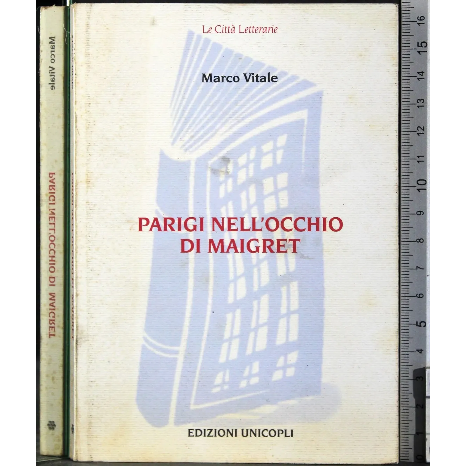 Parigi nell'occhio di Maigret