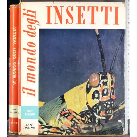 Il mondo degli insetti
