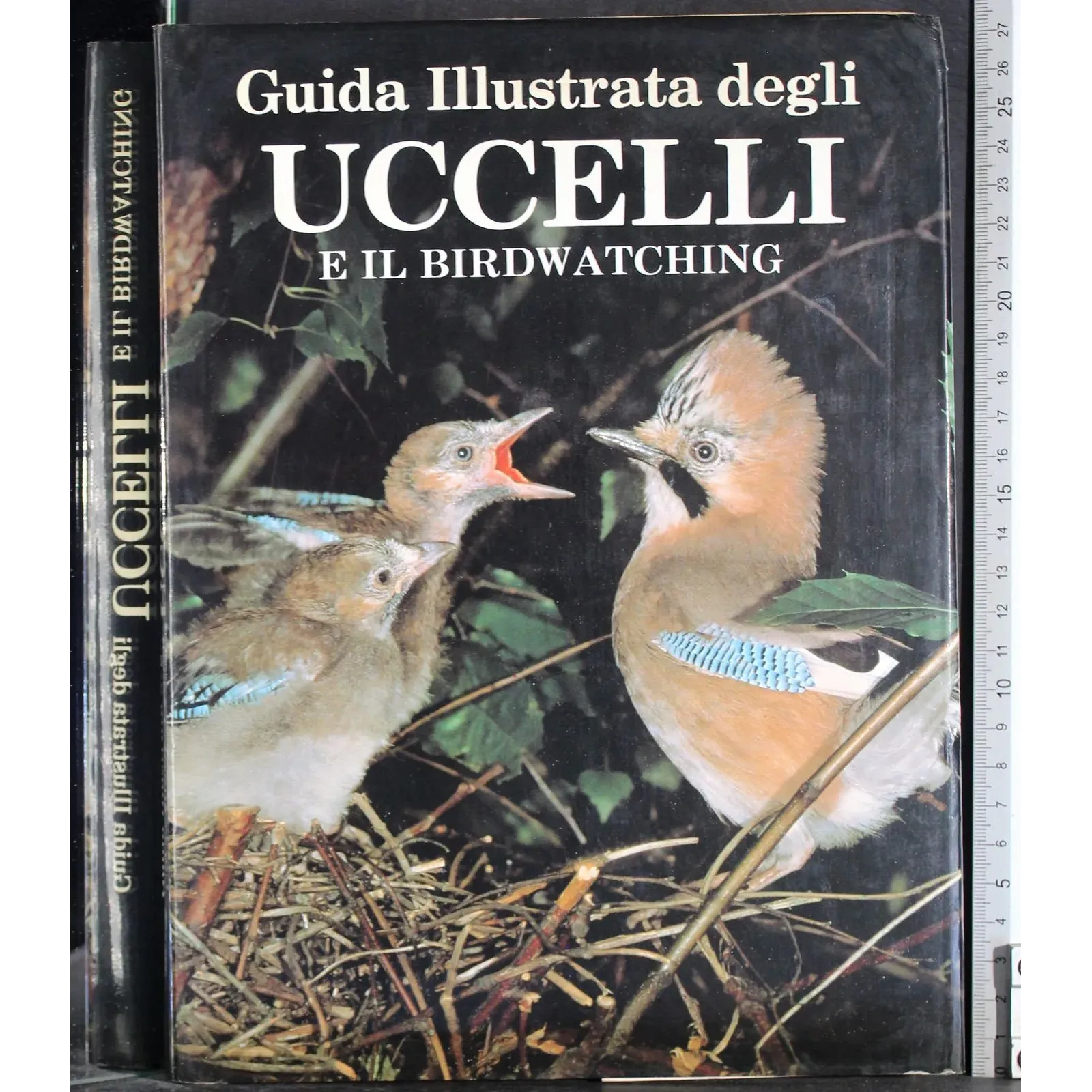 Guida illustrata degli uccelli e il birdwatching