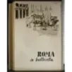 Roma in botticella