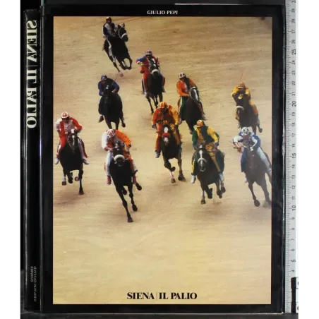 Siena. Il Palio