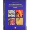 Vittorio Amadio. Alchimista dei linguaggi diversi