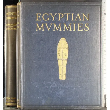Egyptian mummies