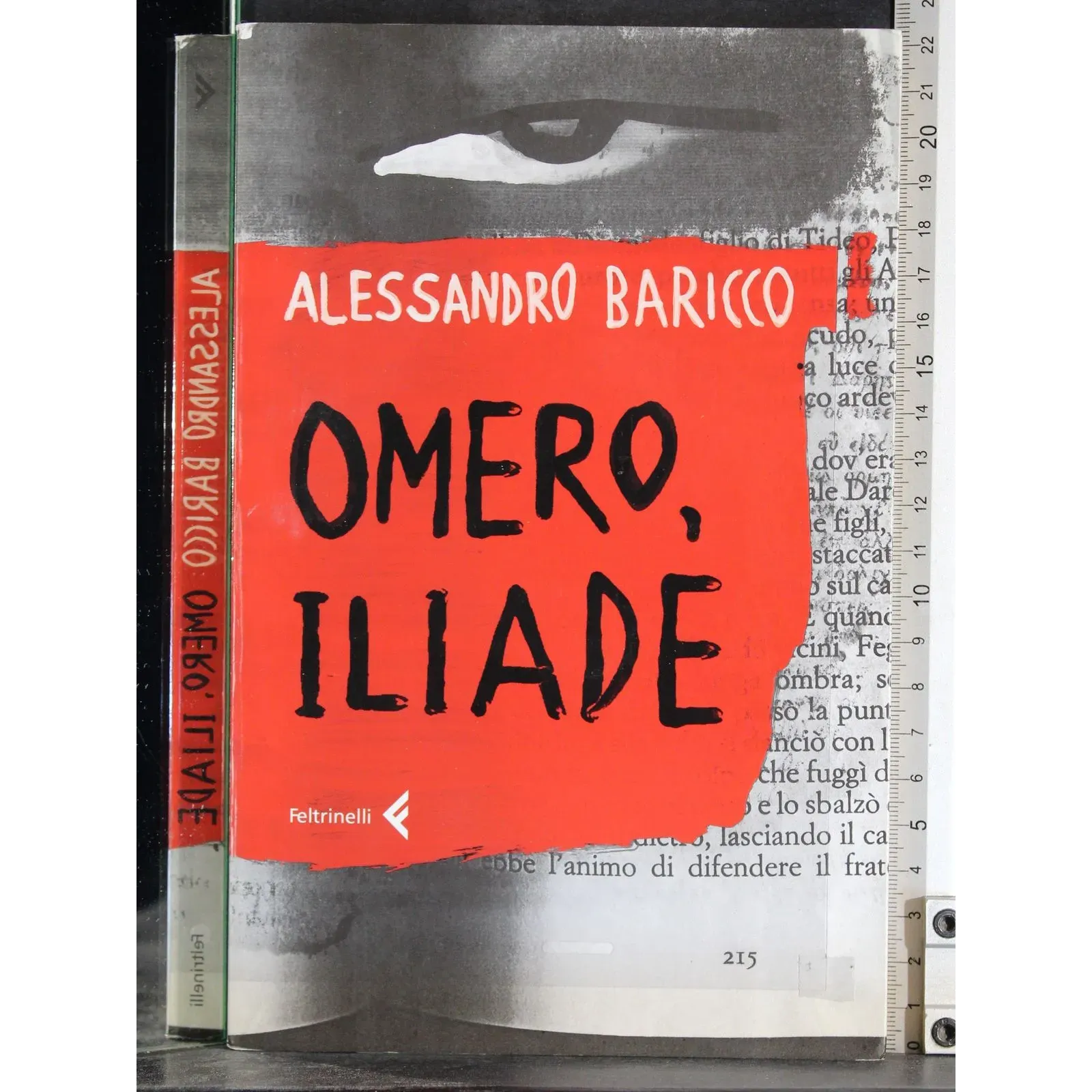 Omero, Illiade