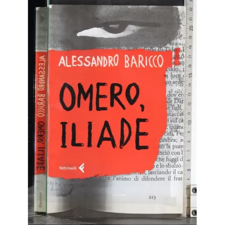 Omero, Illiade