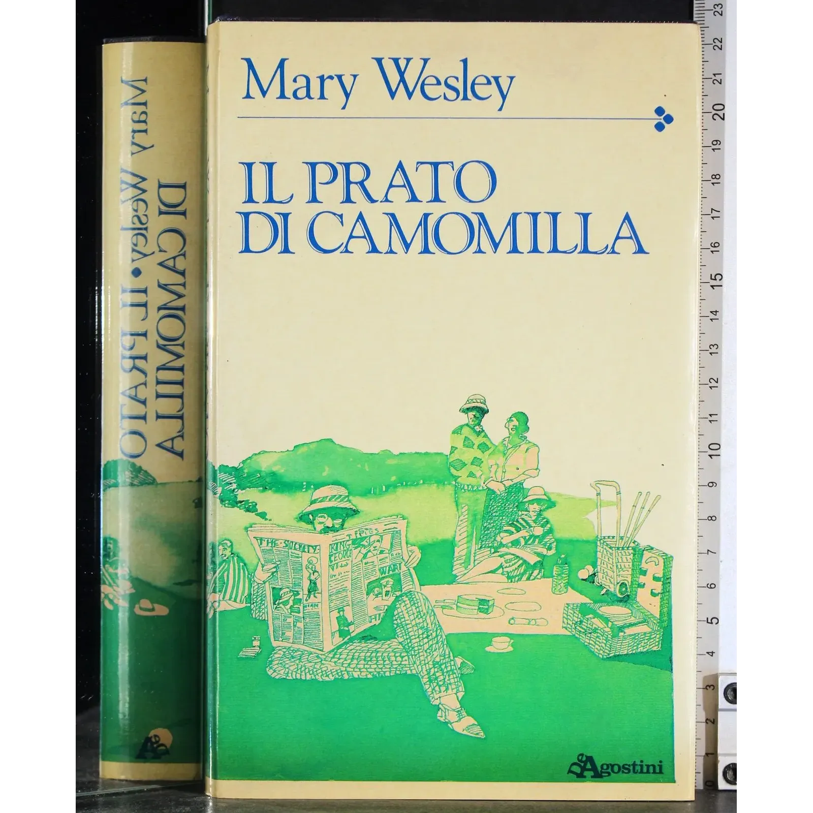 Il prato di camomilla