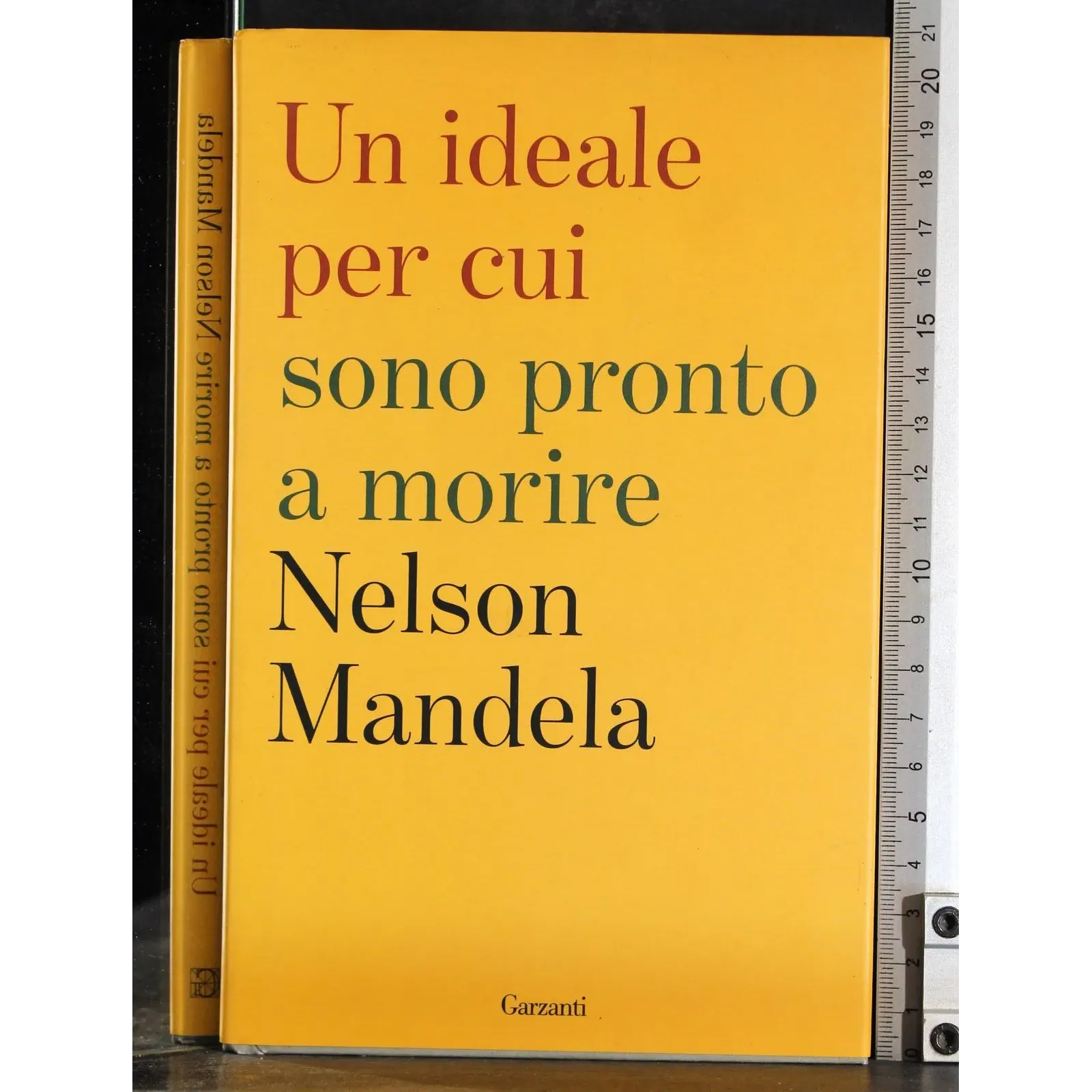 Un ideale per cui sono pronto a morire