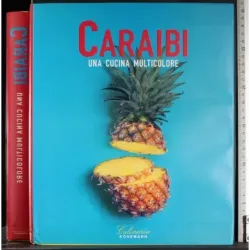 Caraibi. Una cucina multicolore