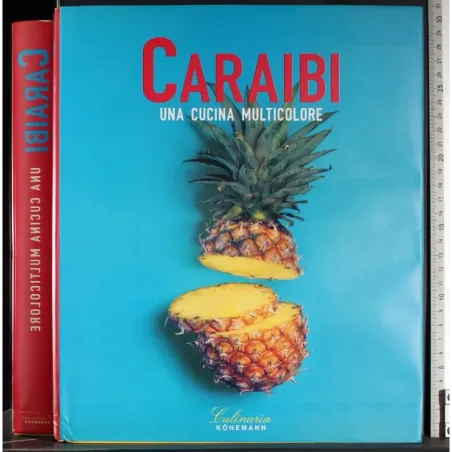 Caraibi. Una cucina multicolore