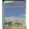 Journey through Tanzania