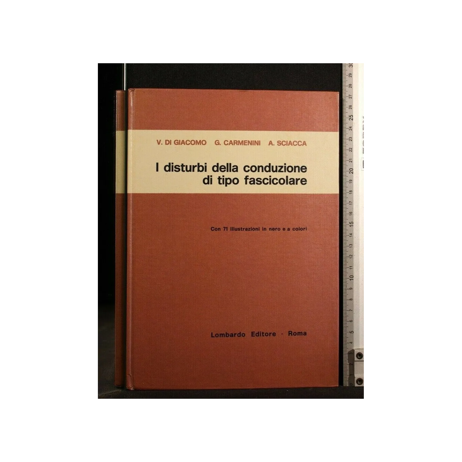 I DISTURBI DELLA CONDUZIONE DI TIPO FASCICOLARE