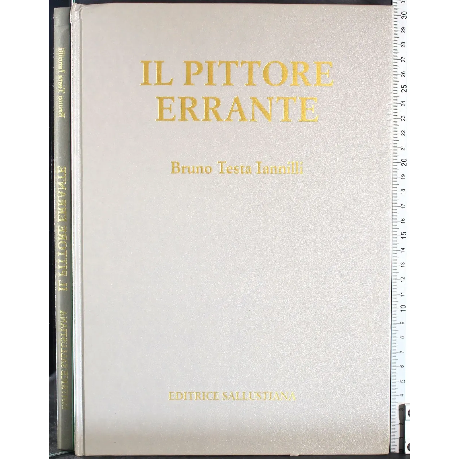 Il pittore errante
