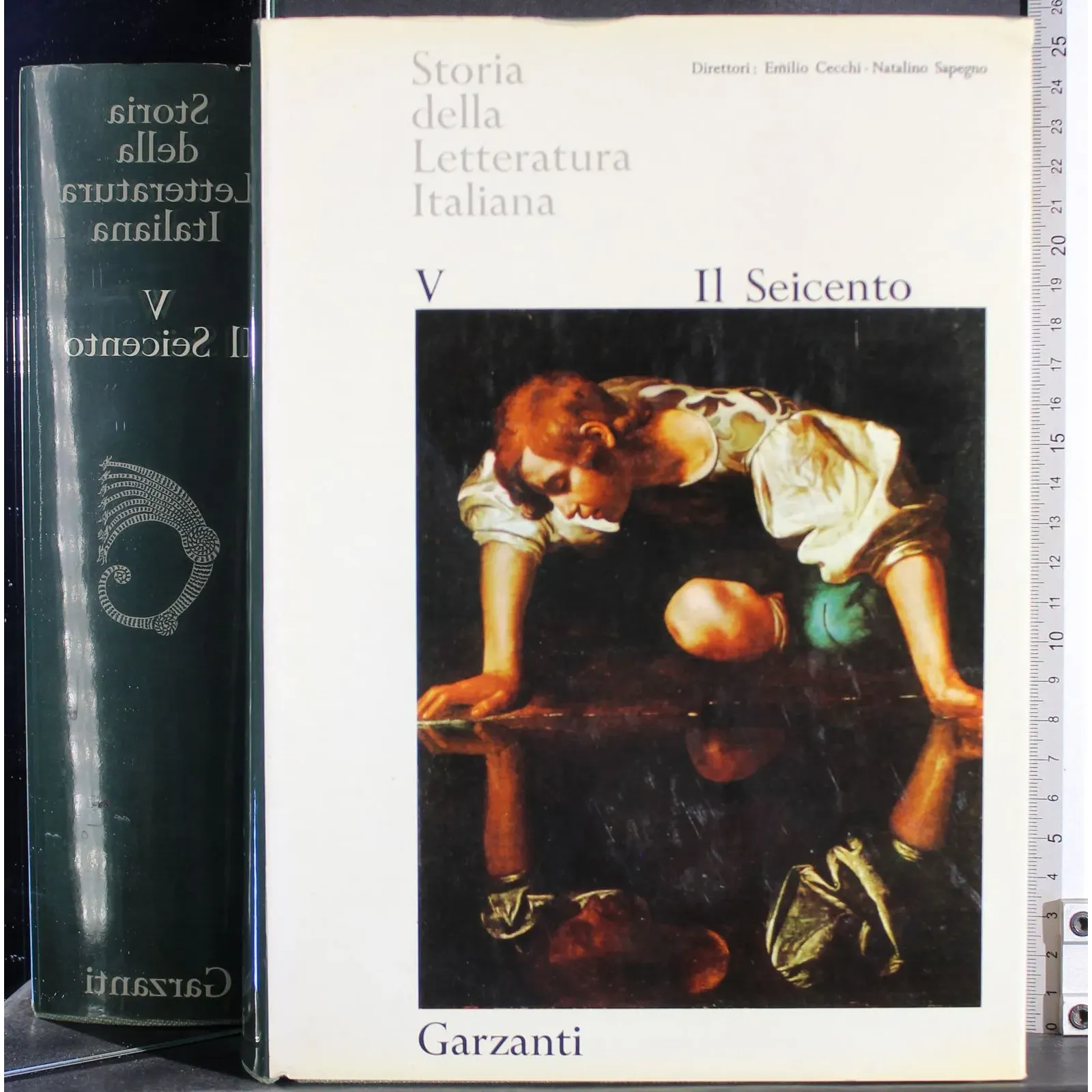Storia della letteratura italiana V. Il Seicento