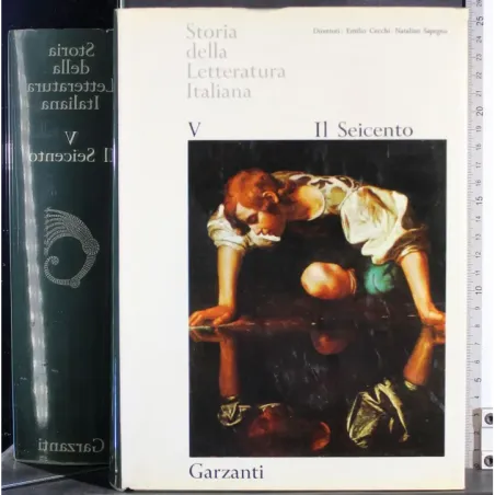 Storia della letteratura italiana V. Il Seicento