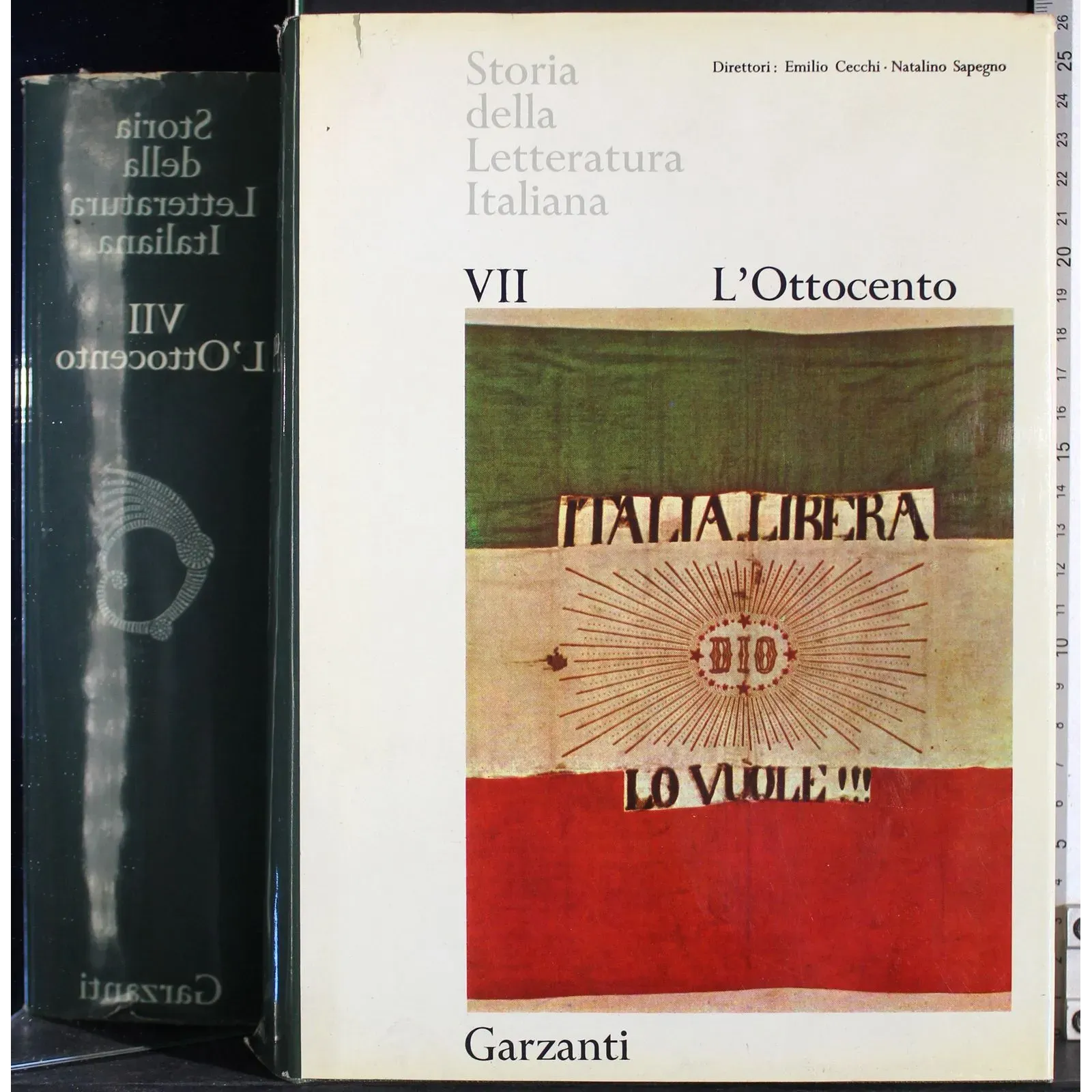 Storia della letteratura italiana VII. L'Ottocento