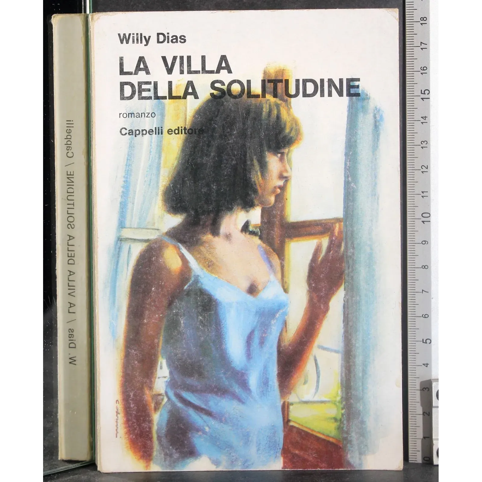 La villa della solitudine