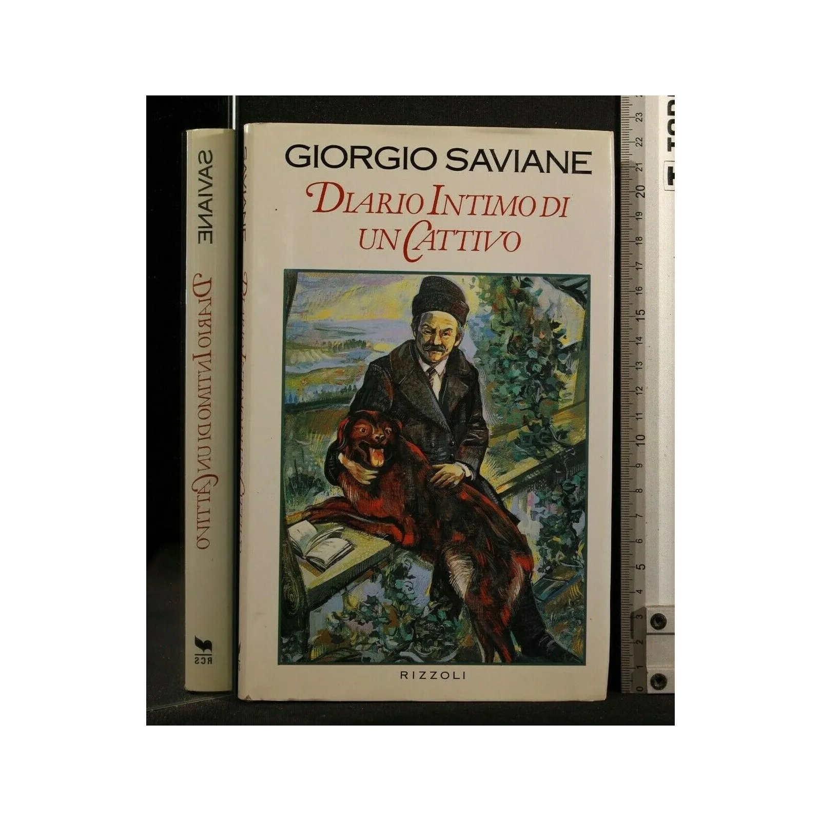 DIARIO INTIMO DI UN CATTIVO