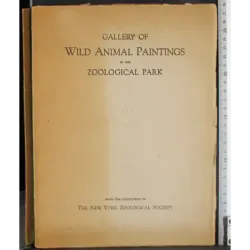 Gallery wild animal paintings in zoological park