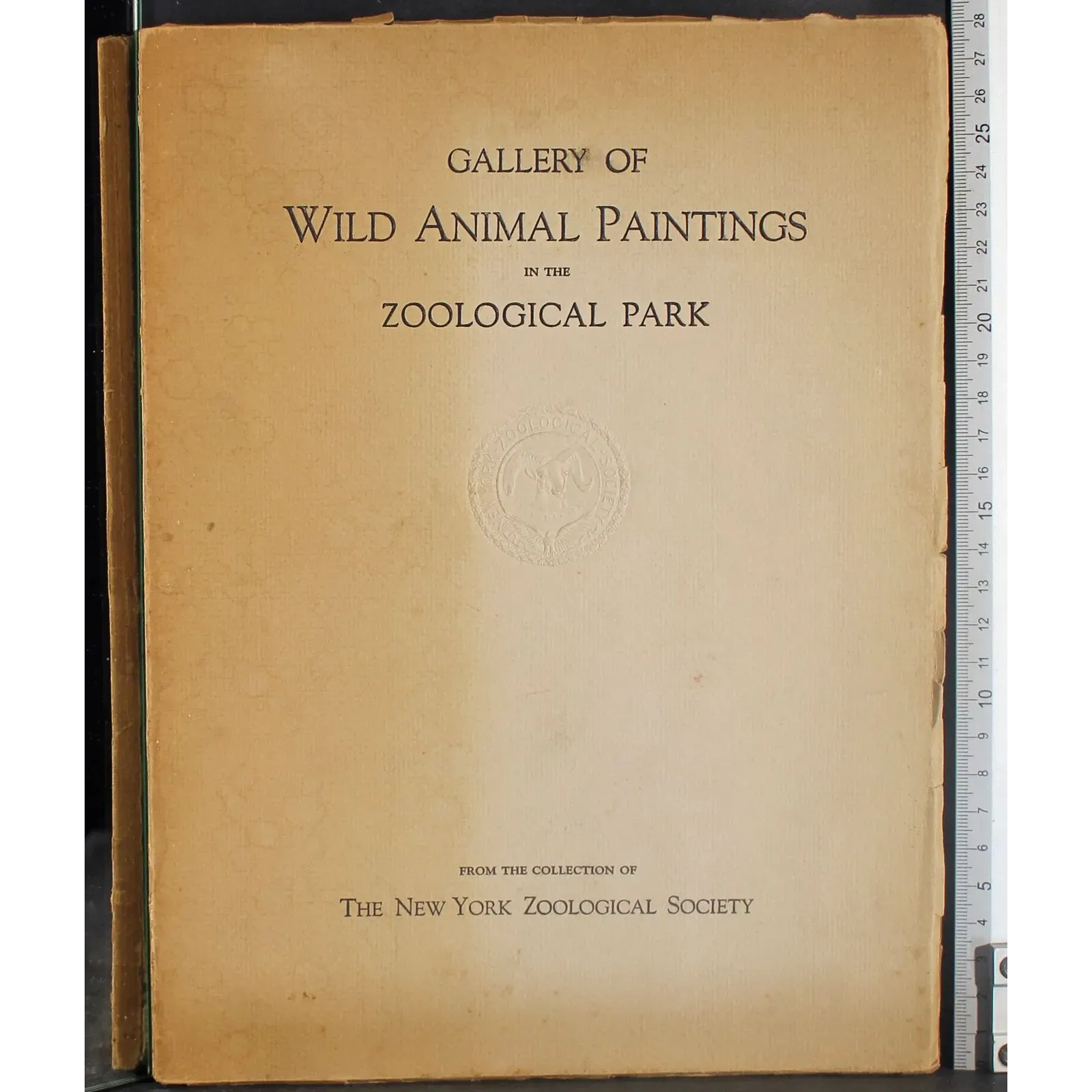 Gallery wild animal paintings in zoological park