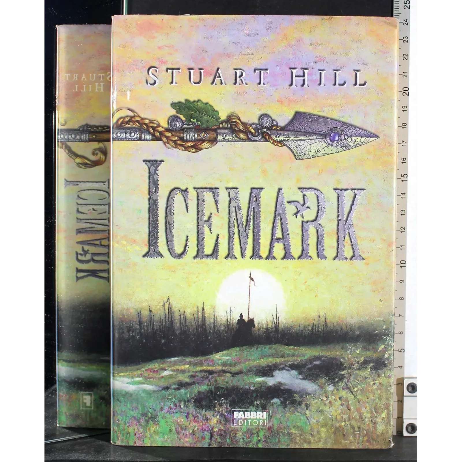 Icemark