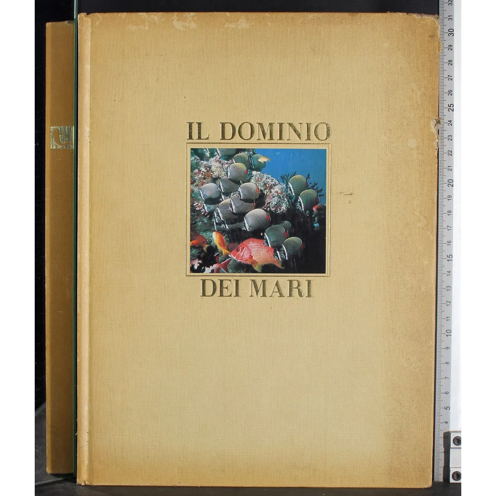 Il dominio dei mari
