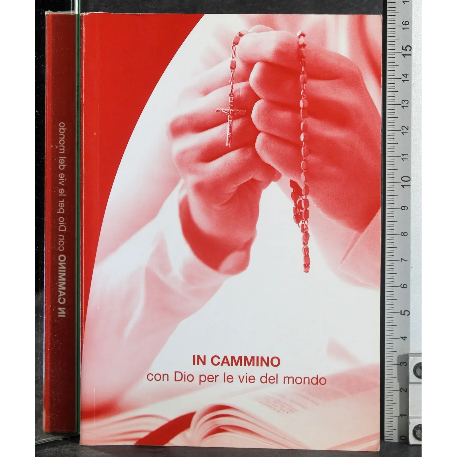 In cammino con Dio per le vie del mondo