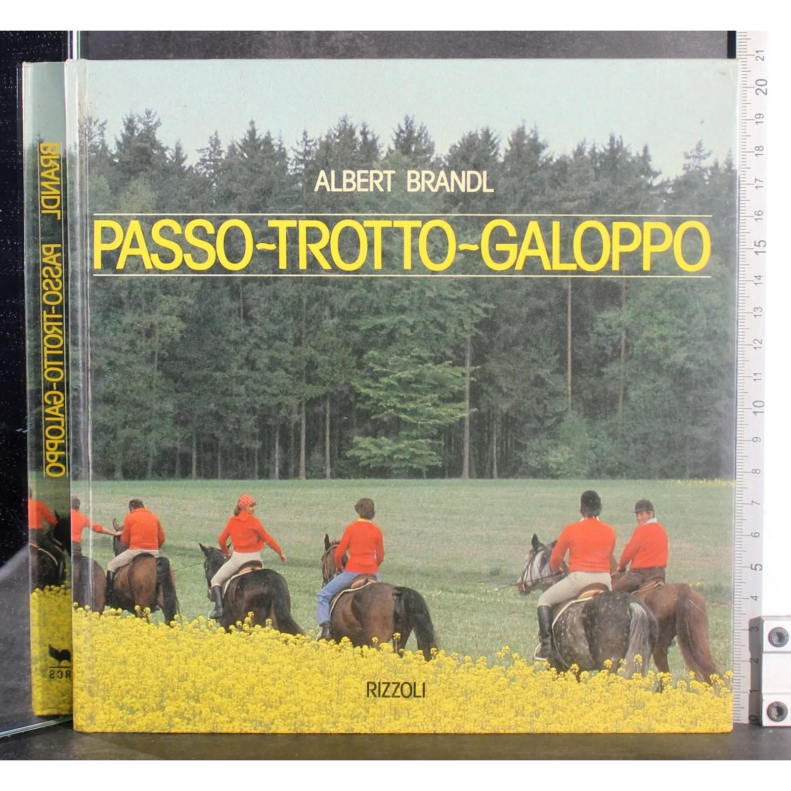 Passo-Trotto-Galoppo