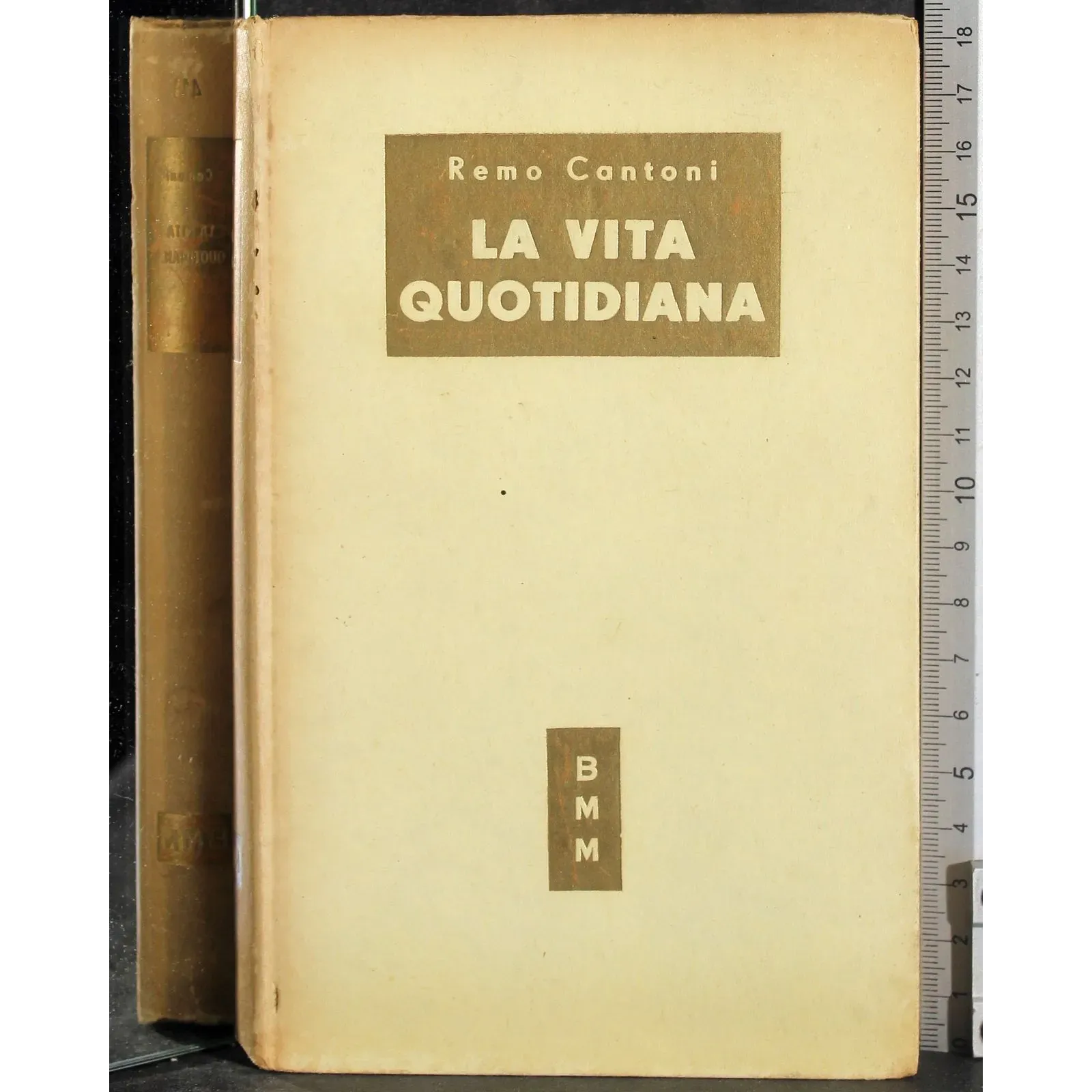 La vita quotidiana