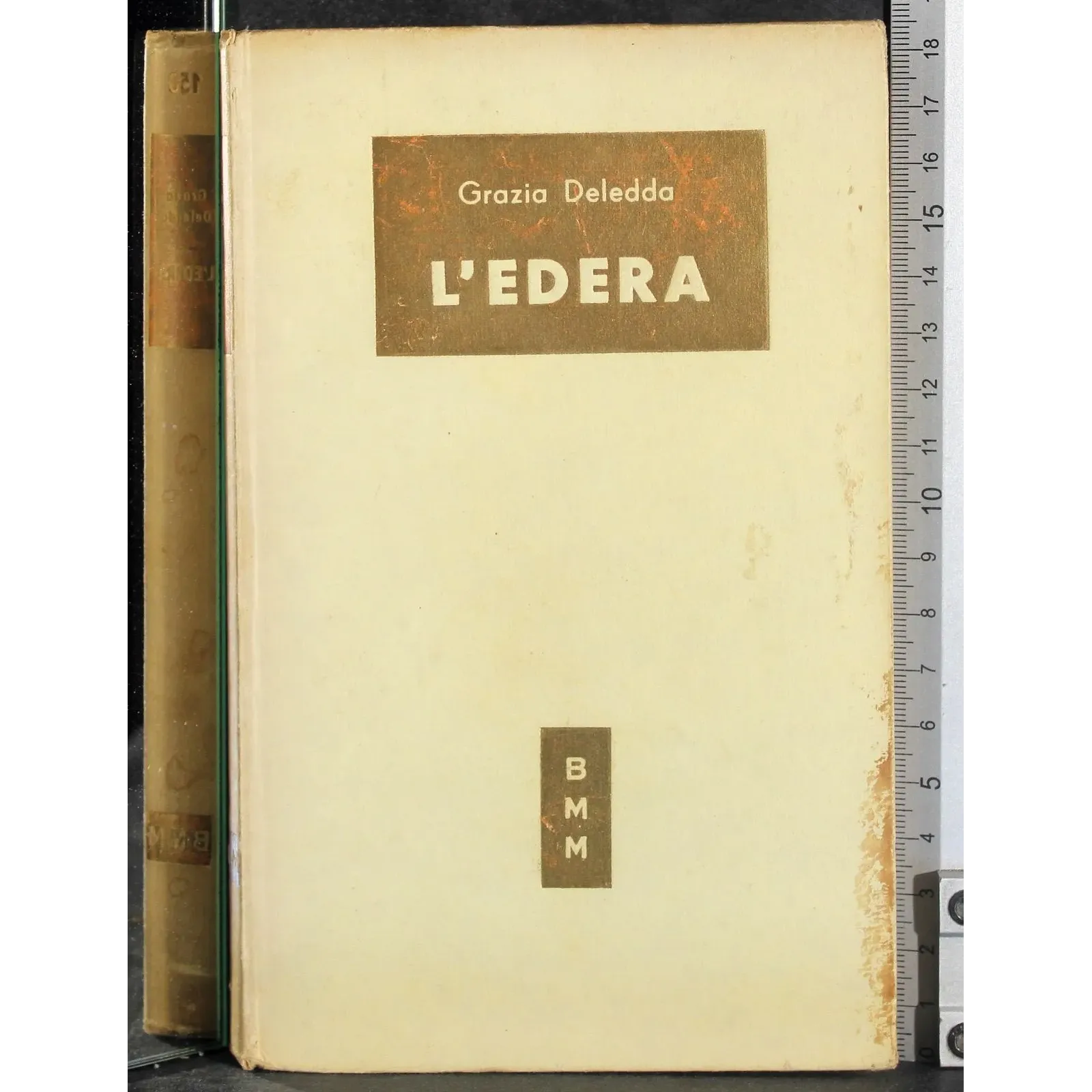 L'edera