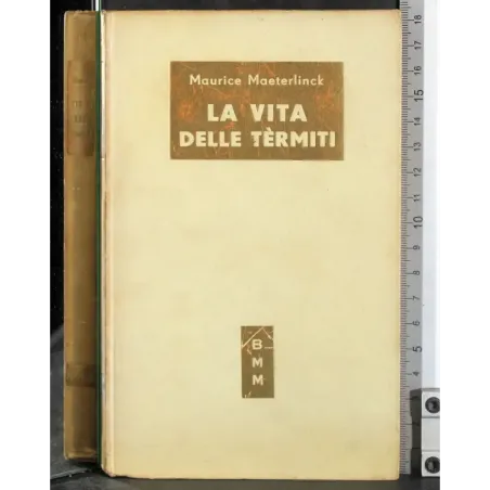 La vita delle termiti