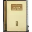 La vita delle termiti