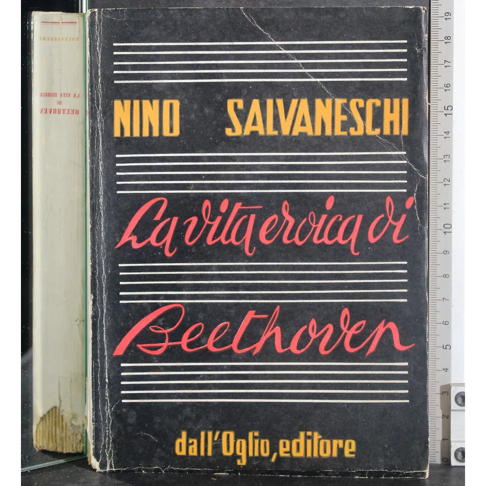 La vita eroica di Beethoven