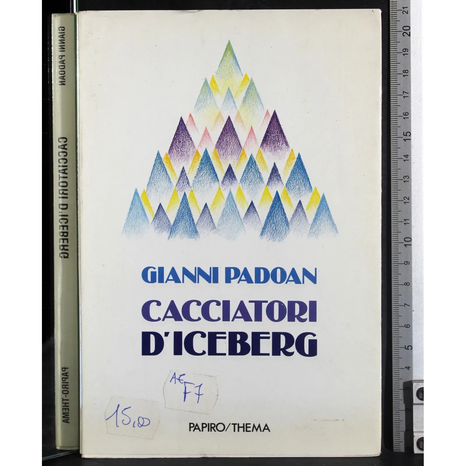 Cacciatori d'iceberg