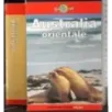 Australia orientale