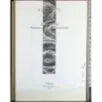 I quaderni dell'opera 2. Alberto Bragaglia