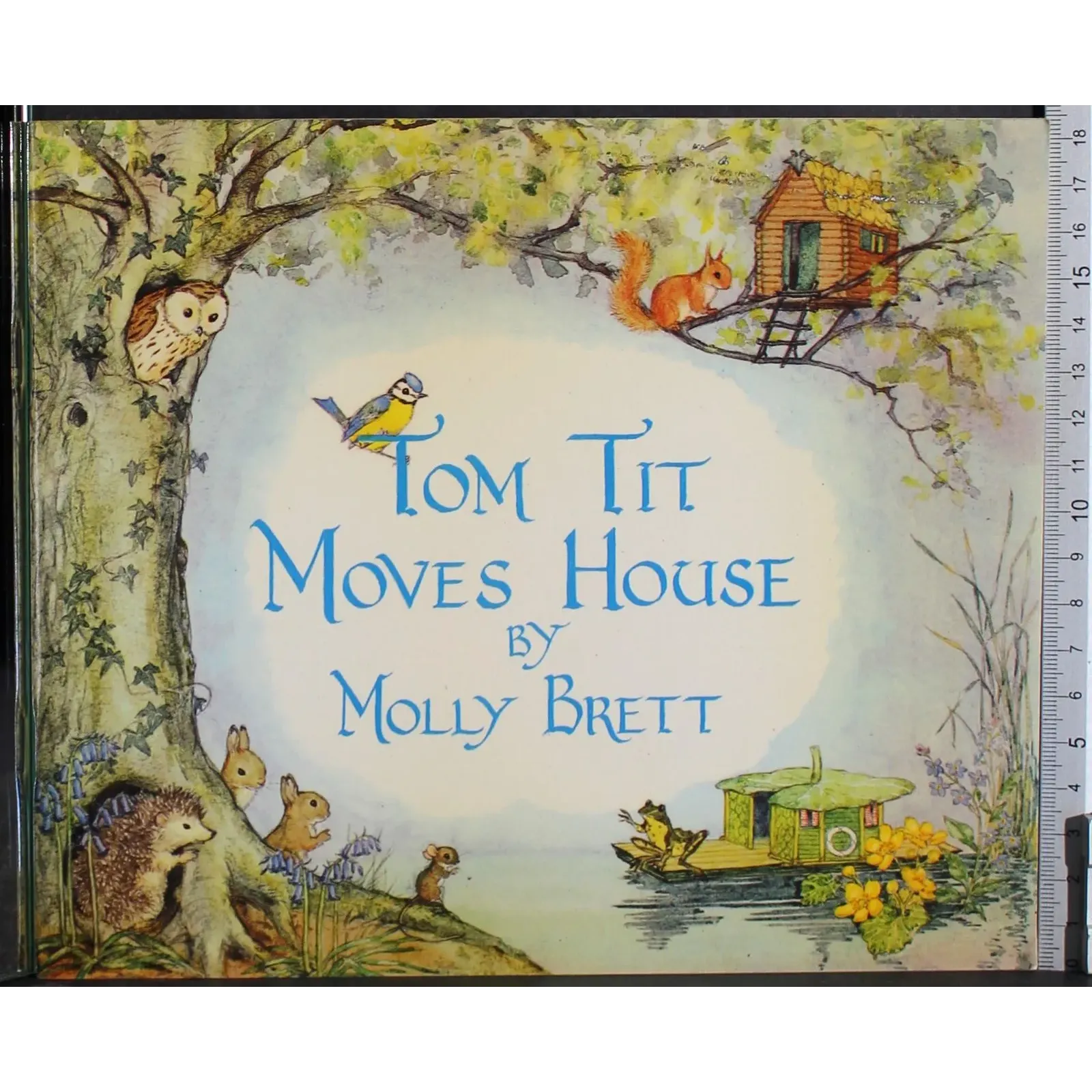Tom tit moves house