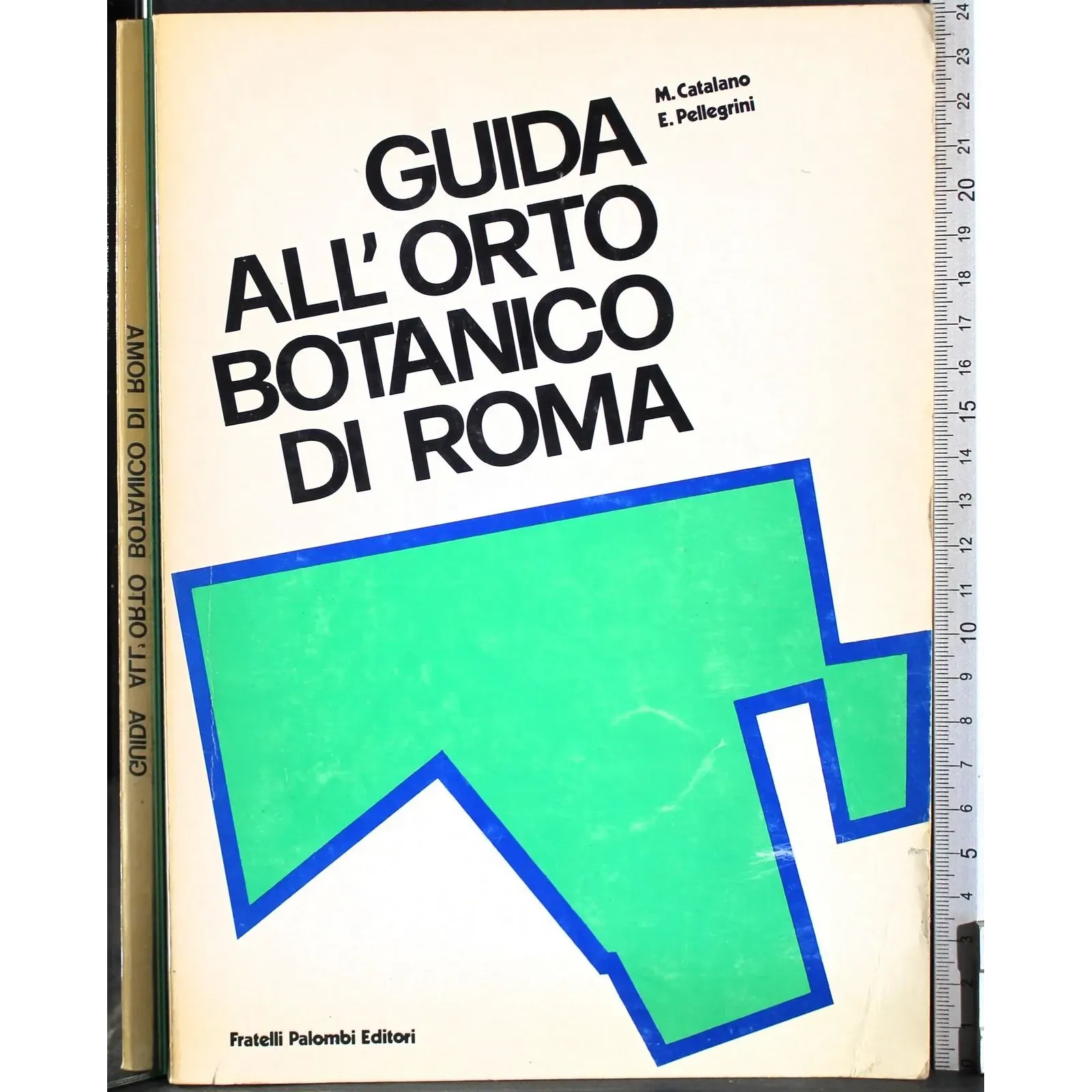 Guida all'orto botanico di Roma