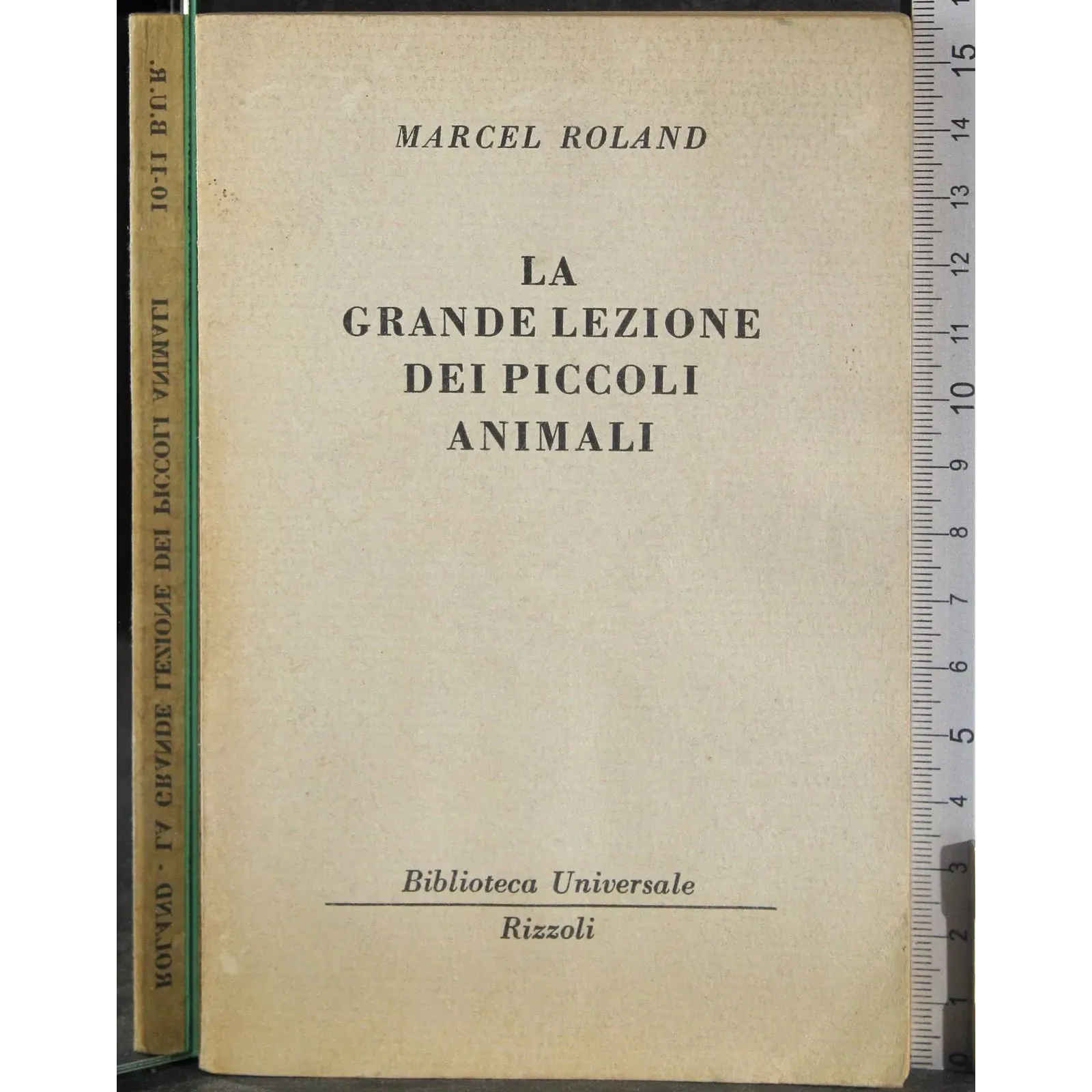 La grande lezione dei piccoli animali