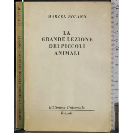 La grande lezione dei piccoli animali