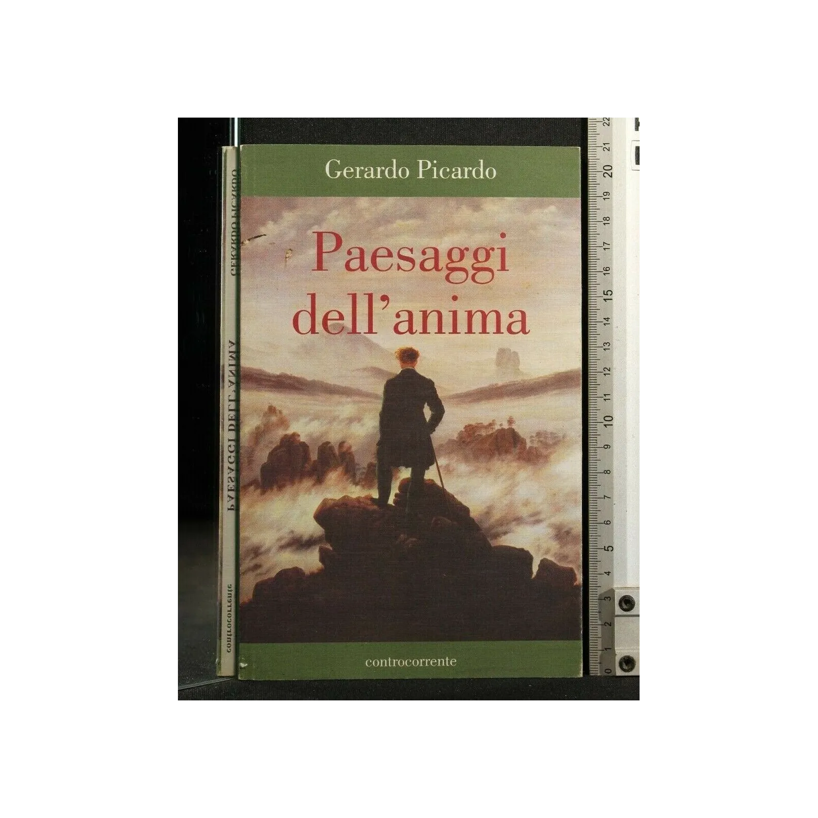 PAESAGGI DELL'ANIMA
