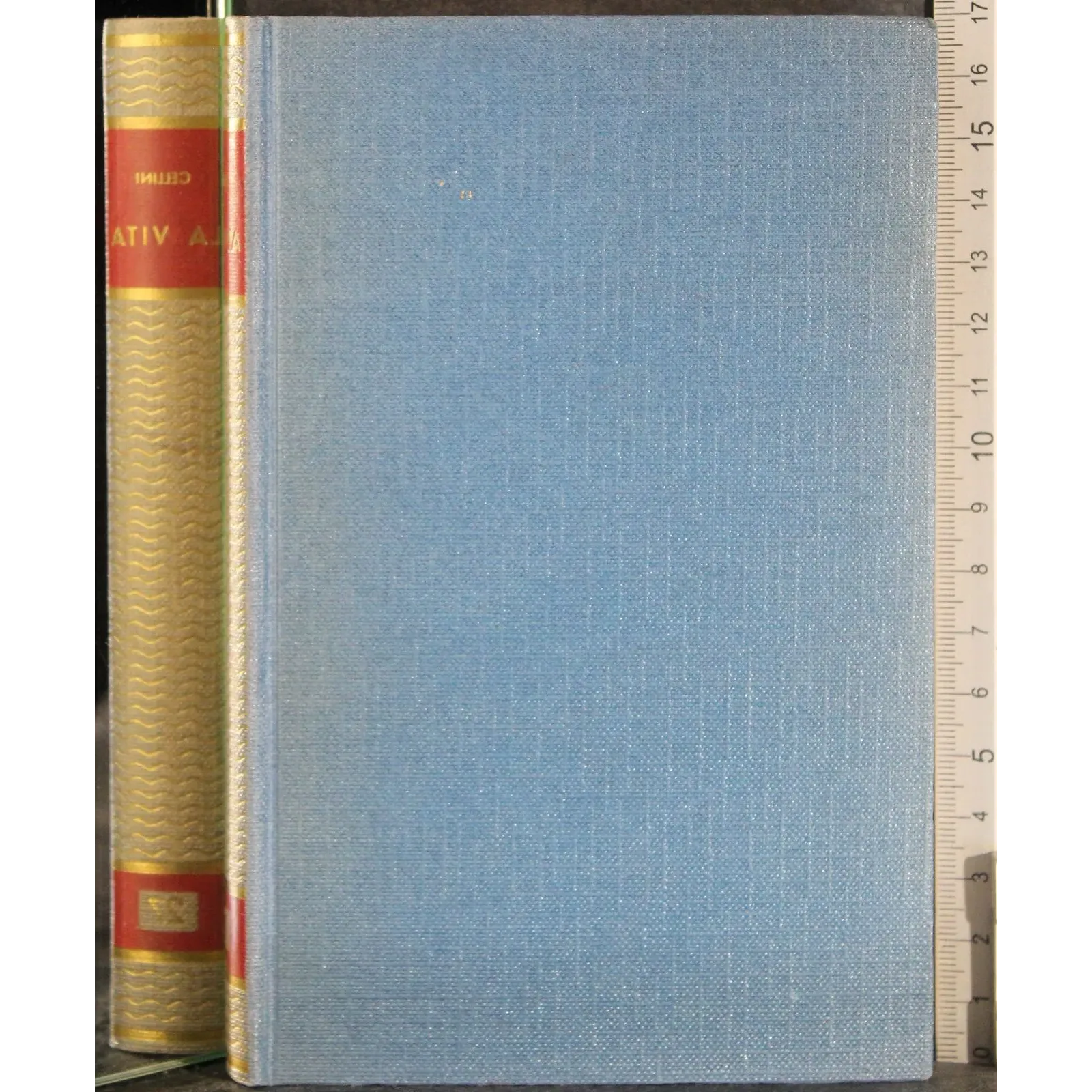 La vita di Benevento di Giovanni Cellini
