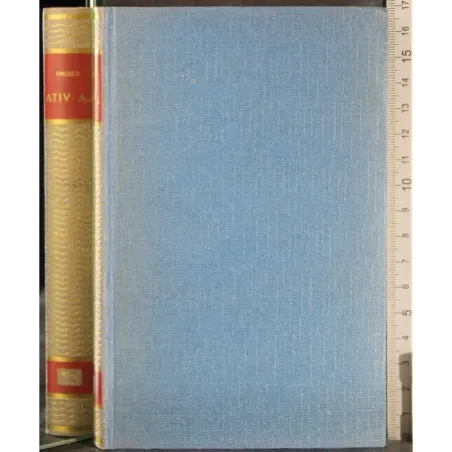 La vita di Benevento di Giovanni Cellini