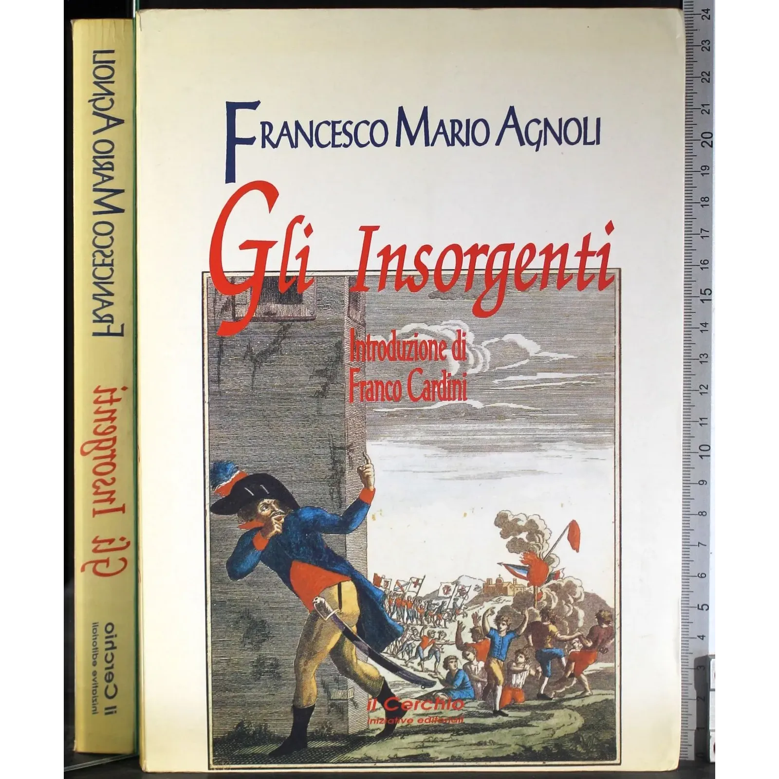 Gli insorgenti