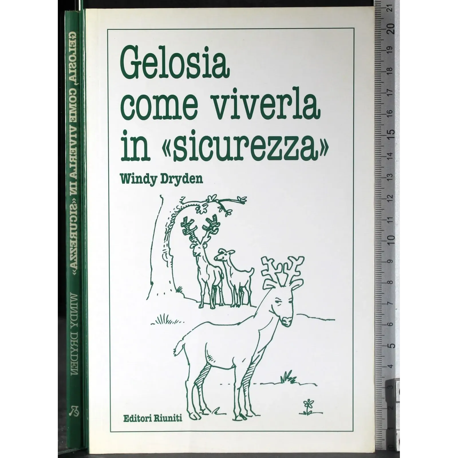 Gelosia come viverla in ''sicurezza''