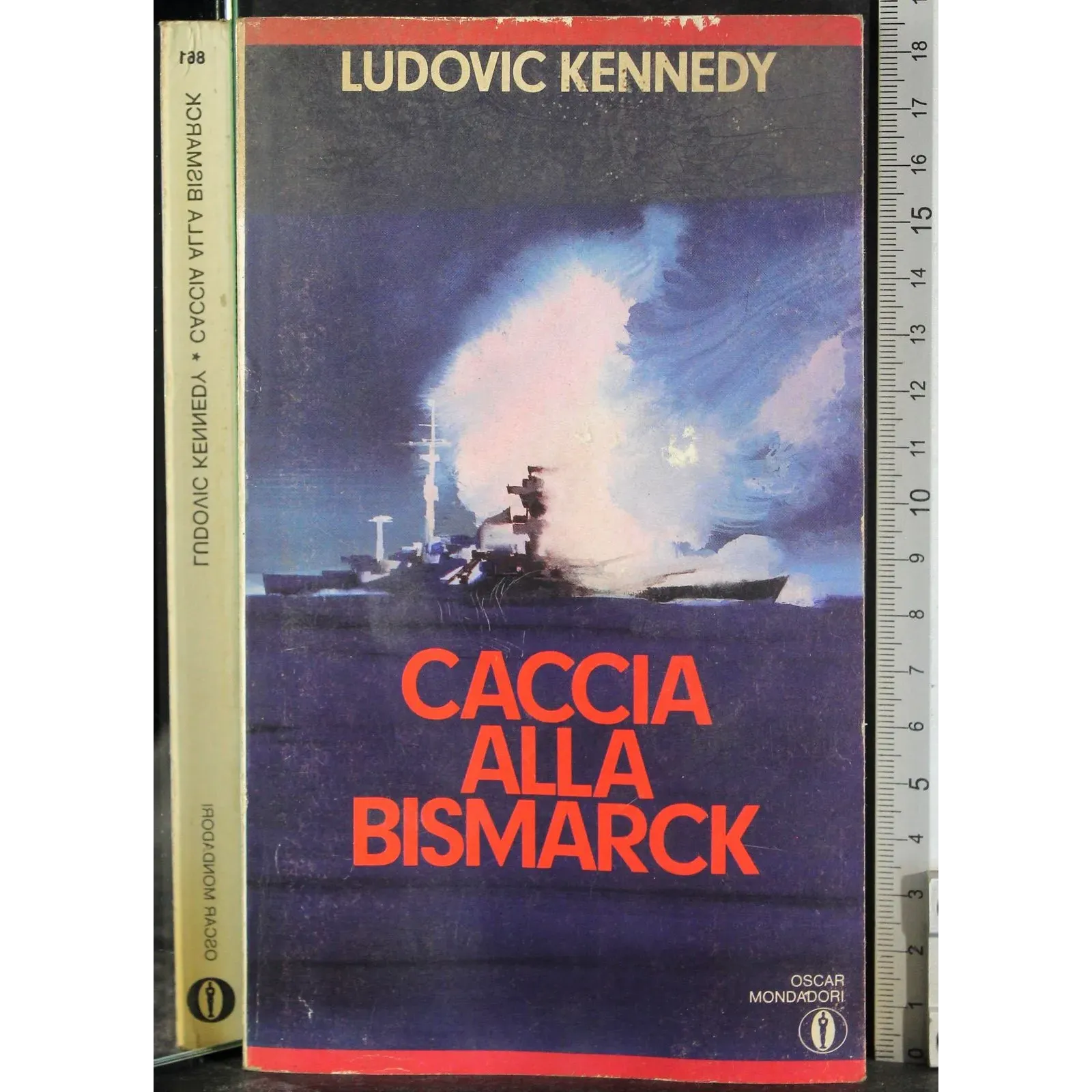 Caccia alla Bismarck