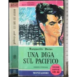 Una diga sul Pacifico