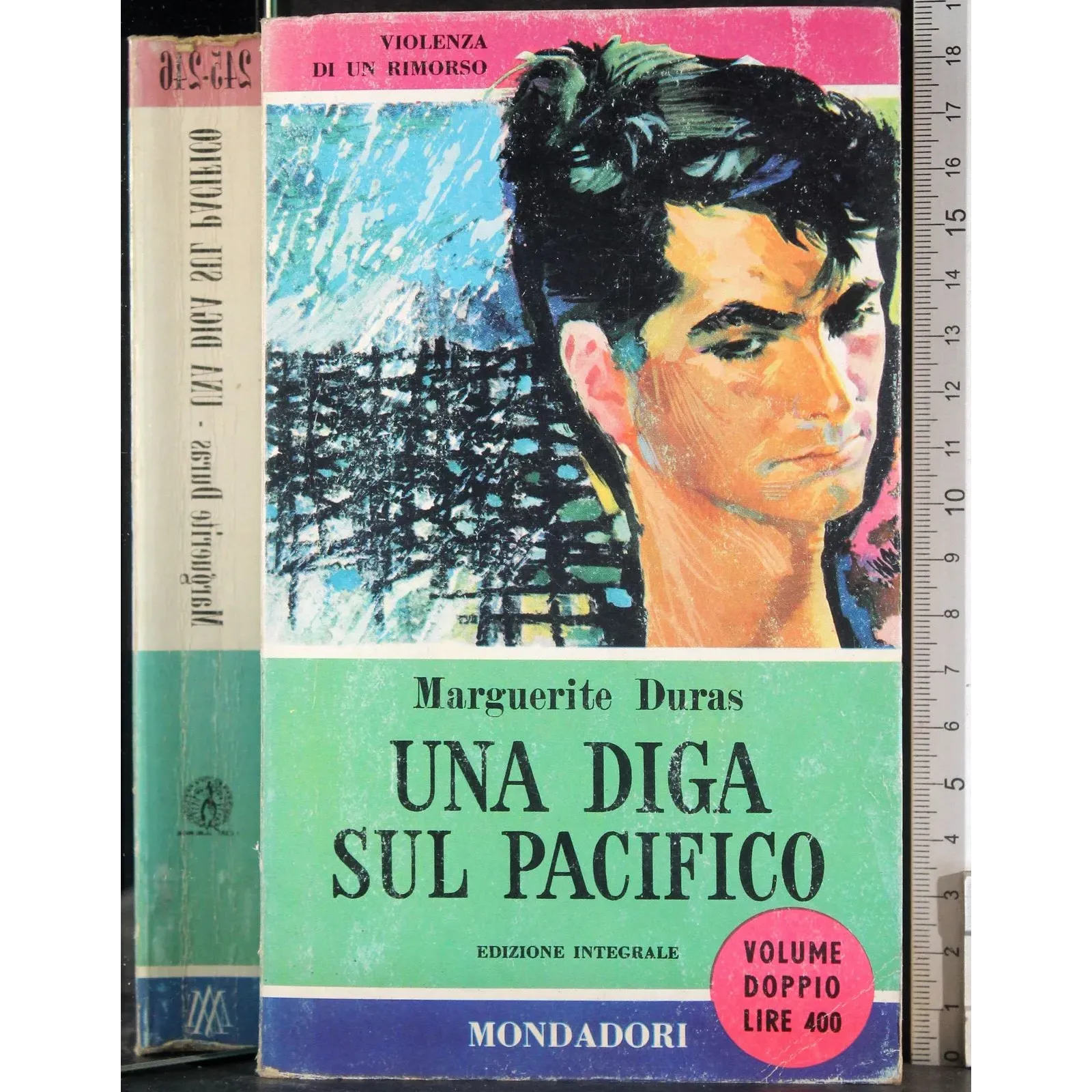 Una diga sul Pacifico
