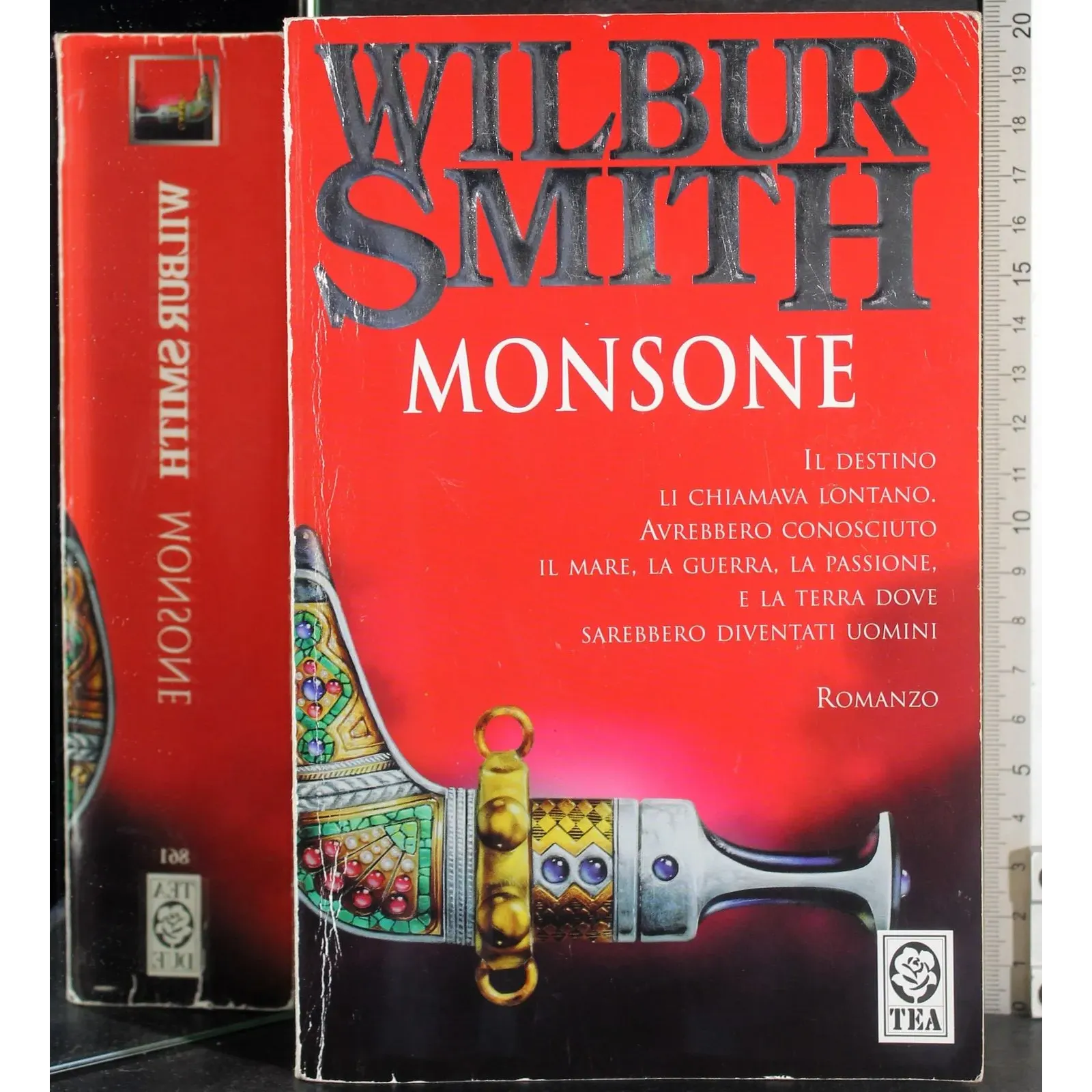 Monsone